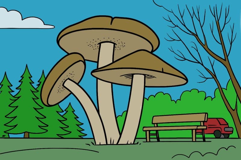 DOWNLOAD - coloring Sheets